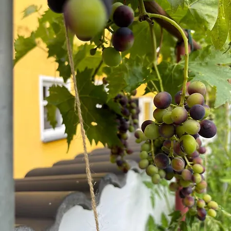 Haus Rheinleben Apartman Boppard