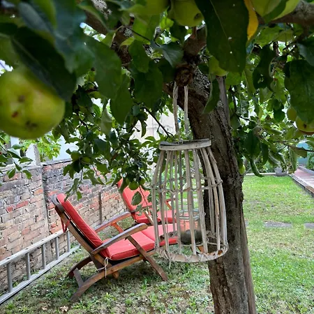 Apartmán Haus Rheinleben *