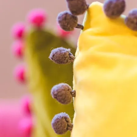 Haus Rheinleben Boppard